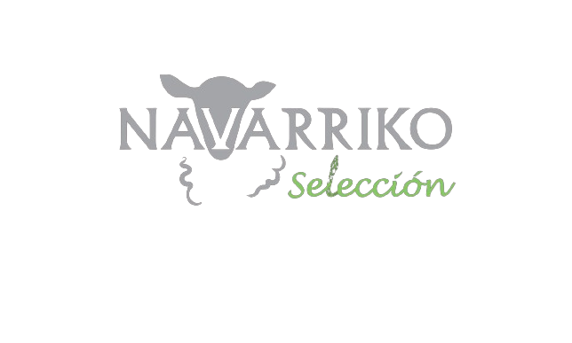 Navarriko Selecciones