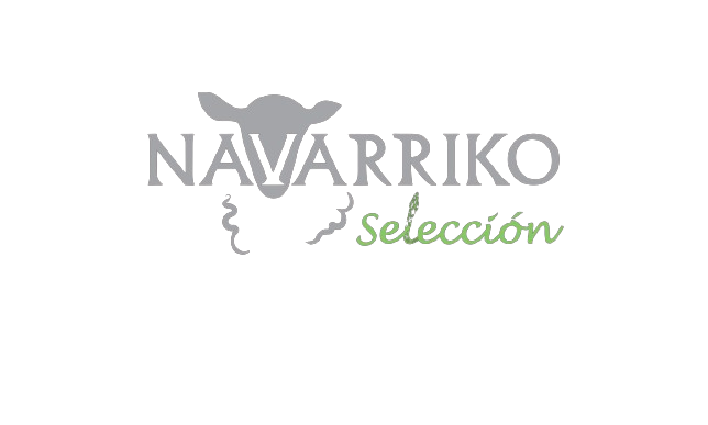 Navarriko Selección